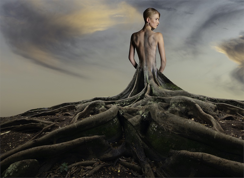 CCJ Silver Medal - Open Colour - Become part of nature - Sonja Myburgh - Tafelberg Fotografieklub