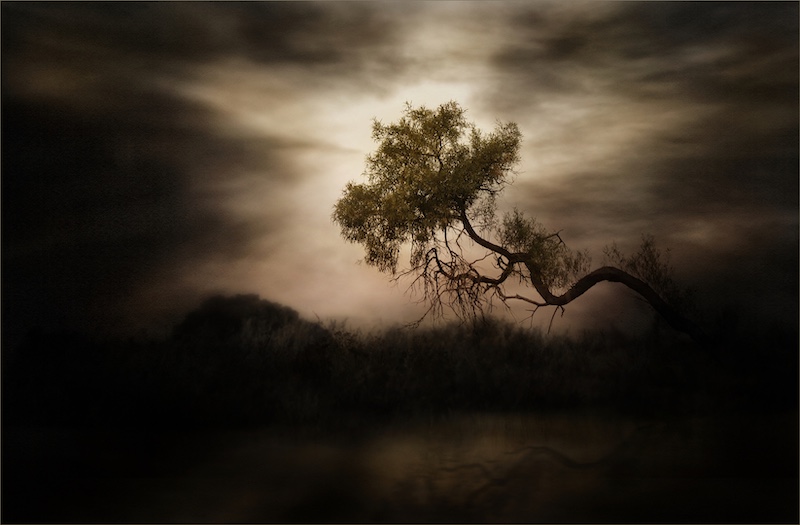 CCJ Silver Medal - Scapes - Weathering the Storm - Gaby Grohovaz - Camera CLub of Johannesburg