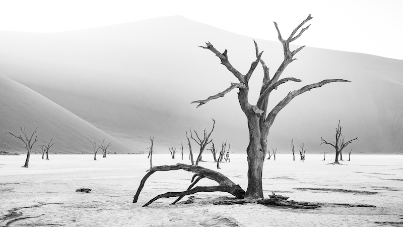 CTPS-CTPS 135th Silver-Monochrome Prints-REVISITED1-JOHAN VAN WYK-Tygerberg PS