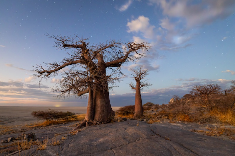 SFK-PSSAMEDAL- Colour Prints-Lekhubu-Kim Stevens-CTPS