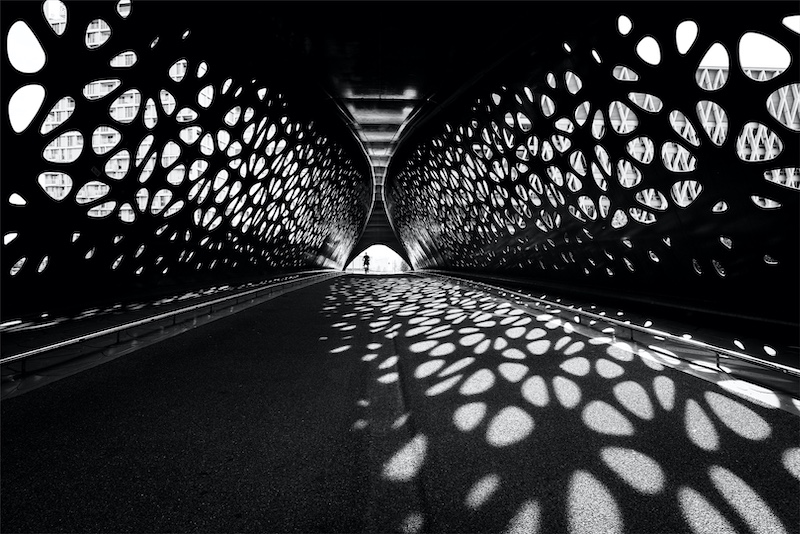 TAF-PSSAMEDAL-Monochrome Prints-Steelcut Shadows-Kim Stevens-CTPS